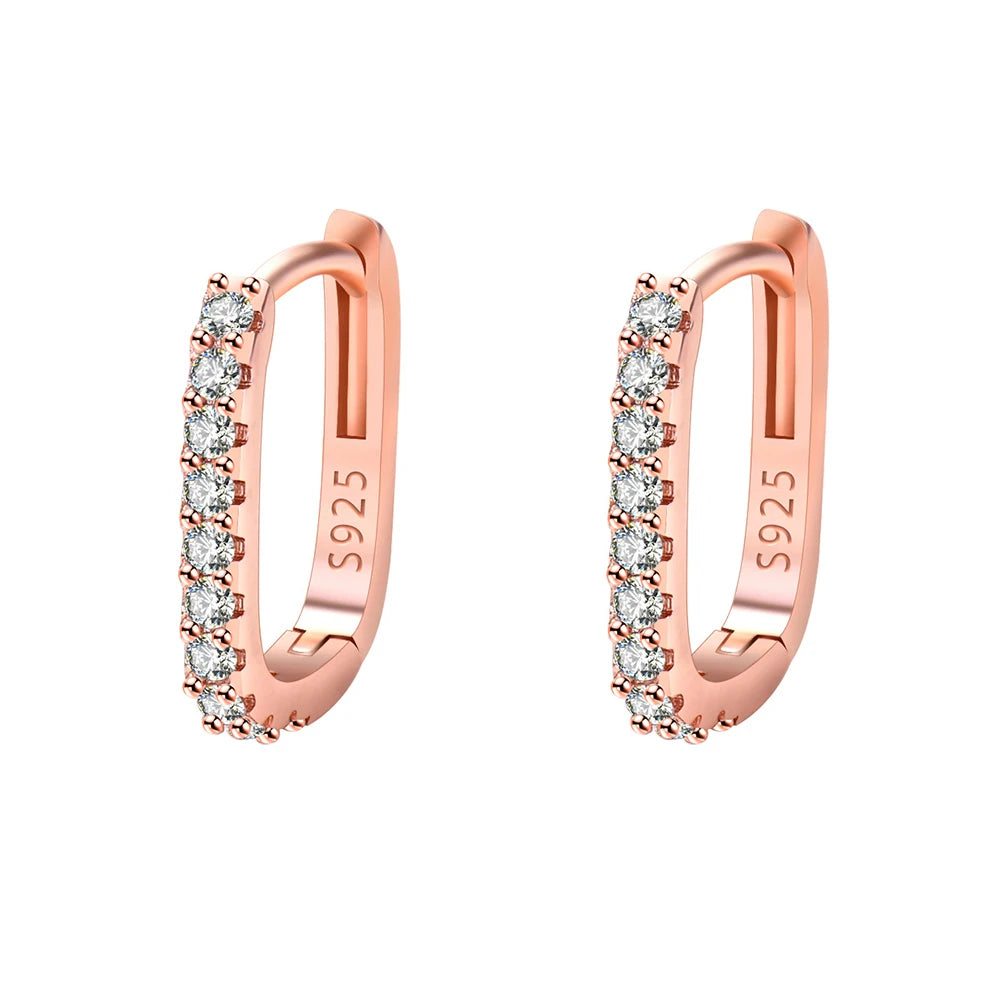 Elegant Zircon Silver Hoops